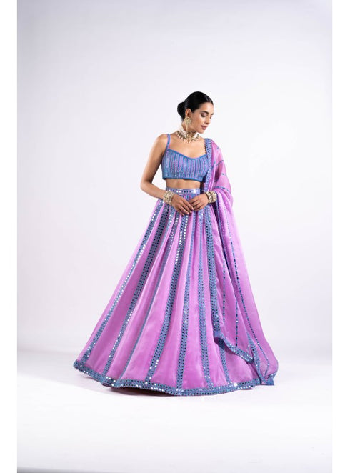 Mauve Mirror Seam Lehenga Set